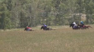 Краснотуранск 6 скачка 2015(Лошади-Horse–Animal-racing-конь-смотреть-онлайн-скачки)