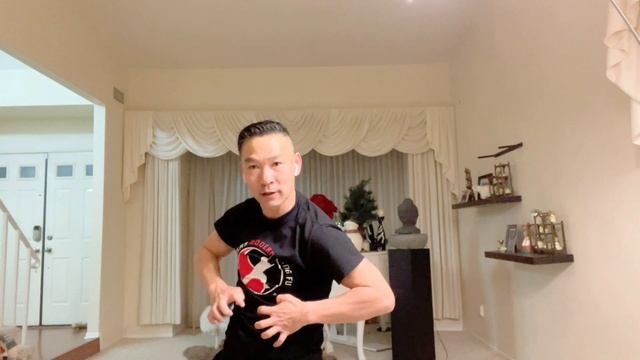 100 percent for beginners / shi zi tiger kung fu 十字虎拳 / learning kung fu at home lesson 12 смотреть онлайн