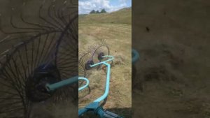 Согребаю сено.И сразу тюкуем в квадратные тюки.