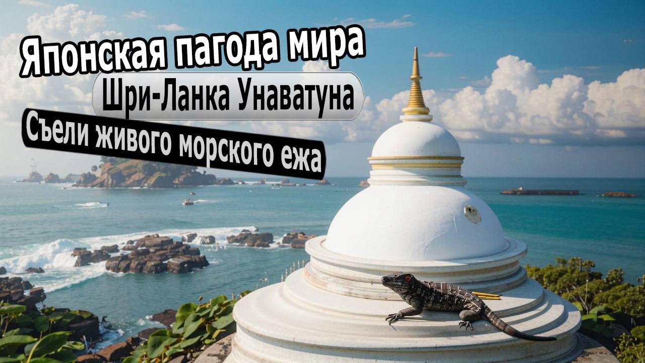 Шри Ланка. Унаватуна. Японская пагода мира. Огромный варан и поедание морского ежа