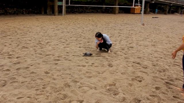 Неделя каникул по России смотреть онлайн