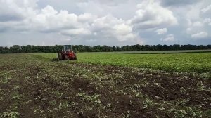 ЮМЗ самодельный культиватор спарки