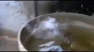 Кот упал 10 раз в воду!