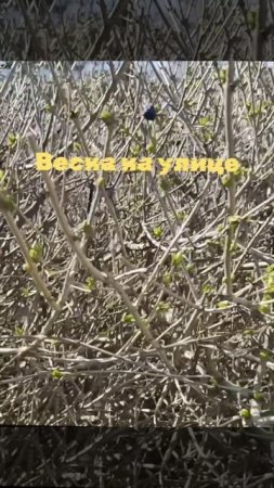 Весна на улице.