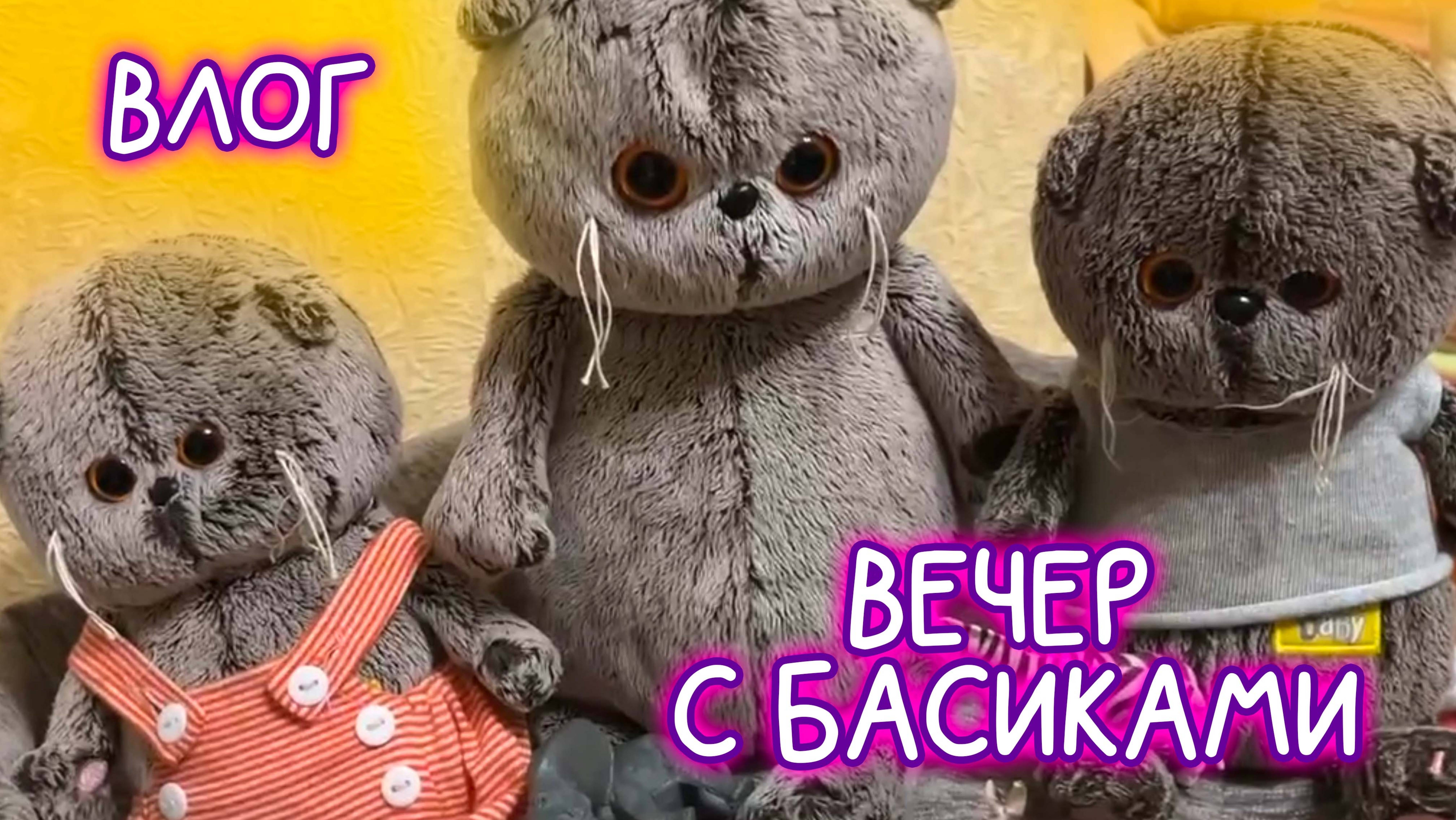 ВЕЧЕР С КОТАМИ БАСИКАМИ /ВЛОГ #КотБасик #Басики #Волшебные будни