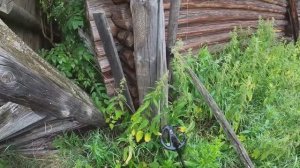 ПРОВЕРИЛИ СВЕЖИЕ ДЕЛЯНКИ НА НАЛИЧИЕ МЕТАЛЛЛОЛОМА + МАЛЕНЬКАЯ ДЕРЕВУШКА ПО ПУТИ