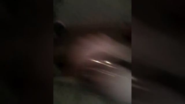 Дни с Лизочкой-5