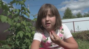 Малиновое приключение