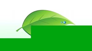 Развивающие мультики для самых маленьких  - Малыш и Зеленая Черепашка