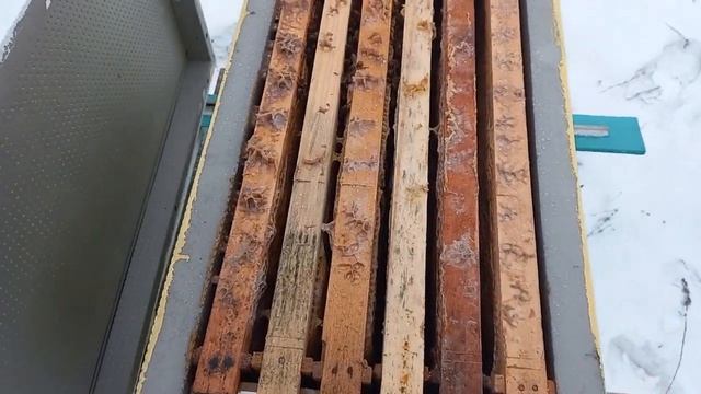 Зимовка в шести рамочных ульях из ППС. смотреть онлайн