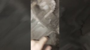 форд фокус 3 робот. поуршифт. причины невозможно задействовать 1 ю передачу.