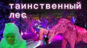 Кировск. Фантастический арт-парк Таинственный лес  с оригинальным оформлением. Волшебство Заполярья