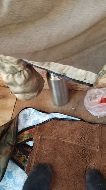 #мечта #охотника #охота #тайга #лось #угодья #вышка #карабин #лось #shorts смотреть онлайн