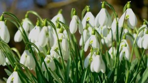 Добрый день!