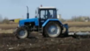Культивация поля трактором мтз-1221 с навесным культиватором.