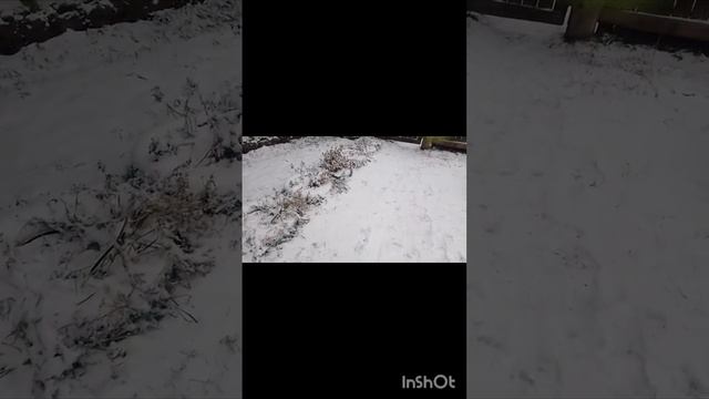 ПРИШЕЛ В ДОМ МАНЬЯКА С КОТОРЫМ ПОКОНЧИЛ, А ТАМ МАНЕКЕН С МАСКОЙ!