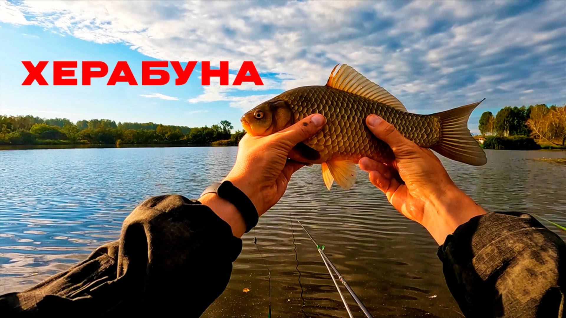 ХЕРАБУНА для тех, кто любит ПОЖЁСТЧЕ!! НОВАЯ удочка 6Н 4,8/19