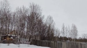 Козочка осталась одна