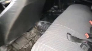 ВАЗ-2107 2011 года, пробег 58 000 км, обзор автомобиля в Альянс Select. Чебоксары.