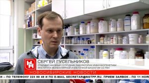 Новый способ борьбы с ВИЧ предложили новосибирские учёные