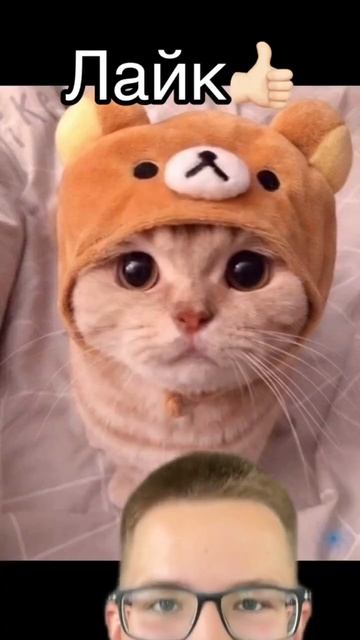 Кого🤔спасёшь⛑️от😱скибиди👾туалета🚽 #shortsfeed #shortsvideo #а4 #выбирашки #mrbeast смотреть онлайн