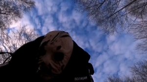 Сходства МАНЬЯКОВ с канала Макс Ващенко