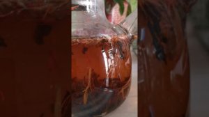 YouCut_20250315_215505210.mp4