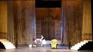 Ария Керубино из оперы "Свадьба Фигаро" I д. В.А. Моцарта (исп. Е. Сенаторова)