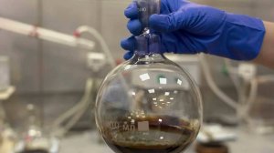 Новые способы очистки Черноморского побережья от мазута предложили российские ученые