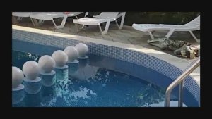 Анапа отдых в августе