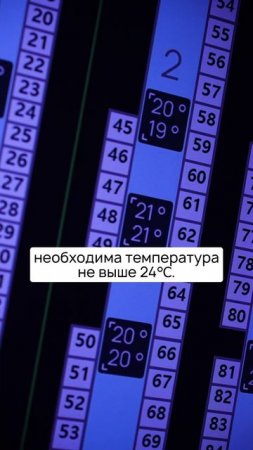 Здесь температура может достигать 60 градусов Цельсия.