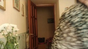 Вот и стала я на год...