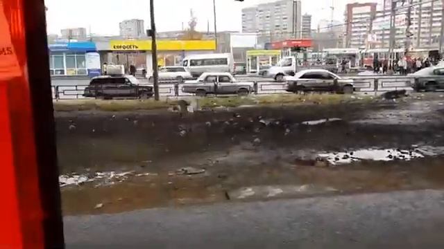 Таджик каждый утром кормить голубей смотреть онлайн