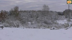 Дыхание сибирской природы