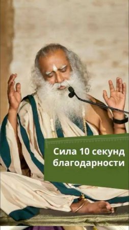 10 секунд благодарности: ключ к счастью и осознанности