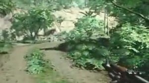 Crysis: Комментарий
