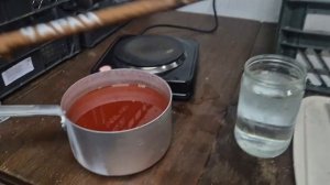 305. Все Этапы укоренения черенков винограда. Распикировал перец и баклажаны. Дача наше ВСЁ. (2)