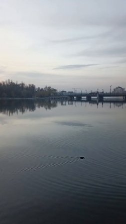 Утро на набережной Донецка