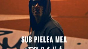 Carla's Dreams Sub Pielea Mea (Midi Culture Remix)