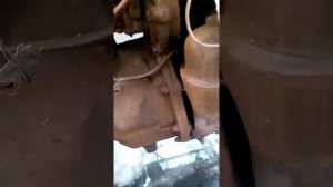 Дт 20 трактор 65 года выпуска обзор