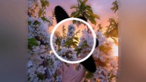 (52-58Hz)_Riot98_(Bass_Club_Production)___________(Low_Bass_By_Bravado)_(www.hotplayer_0.mp4