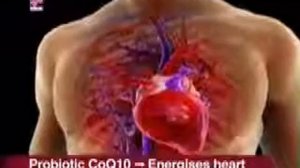 Larginine Nitric Oxide Probiotic.flv