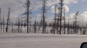 20220324 160318 Трасса Новый Уренгой Салехард  Состояние и возможность движения