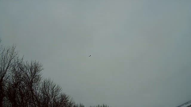 ЛК "СтеМ" и "Чайка" неудачный вечер смотреть онлайн