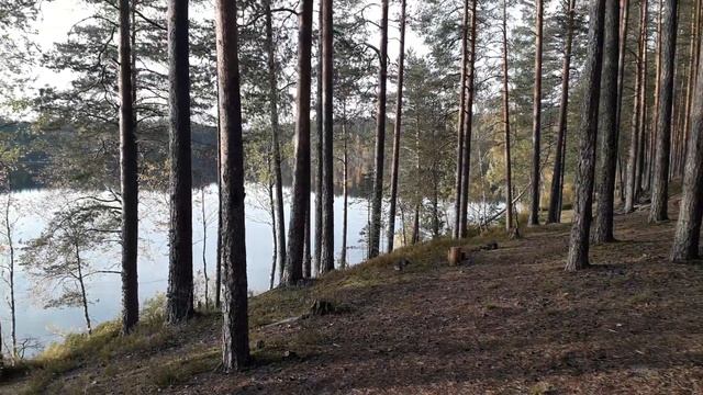 Щукино озеро смотреть онлайн