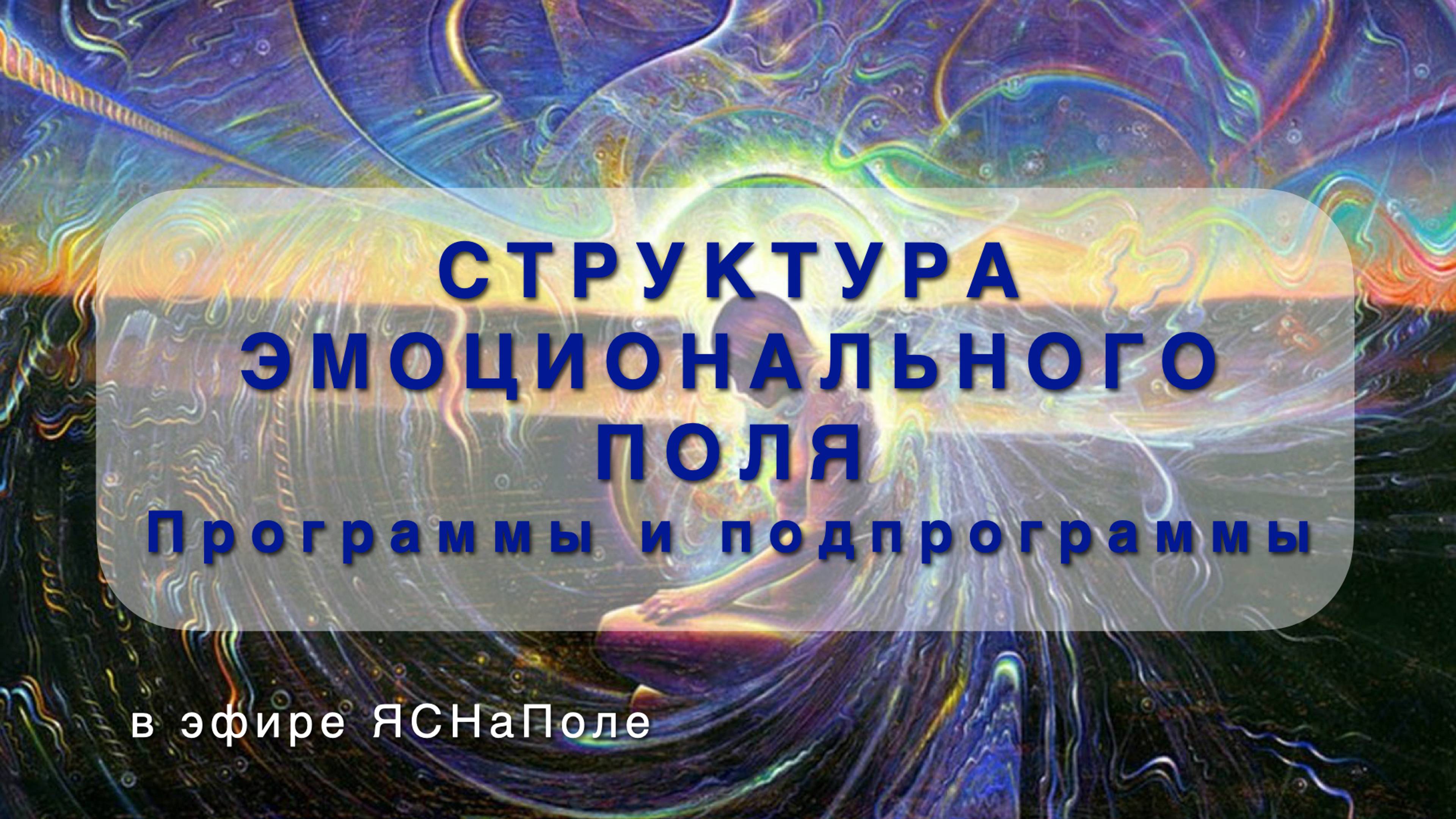 СТРУКТУРА ЭМОЦИОНАЛЬНОГО ПОЛЯ. Программы и подпрограммы 15.11.22
