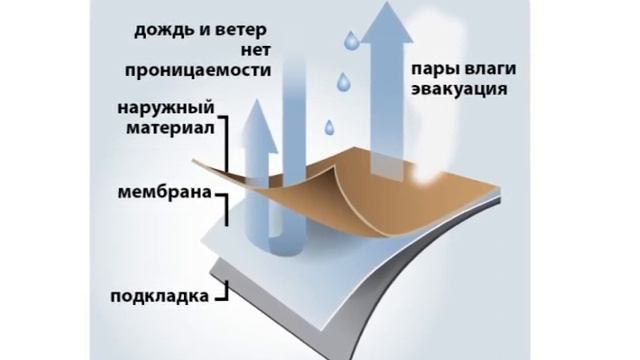 Бейсболка Скаут смотреть онлайн
