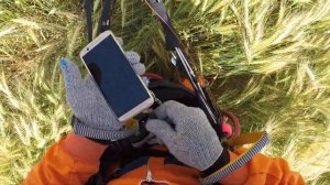 Посадка в ячмень