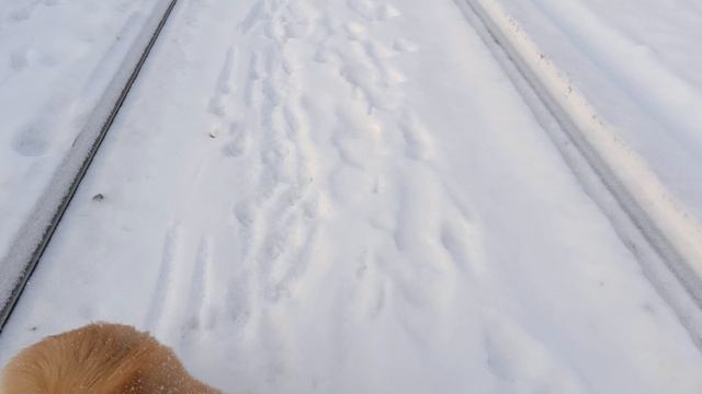 гуляем целой компанией смотреть онлайн