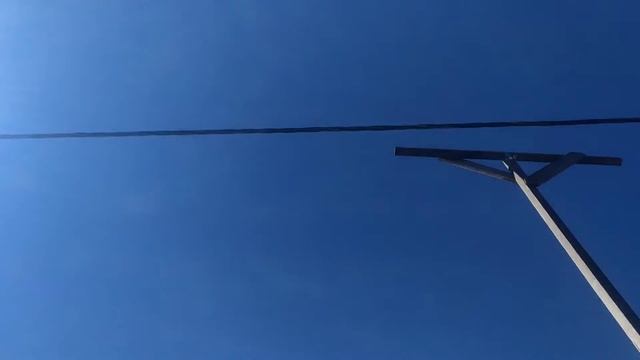 андижанские голуби смотреть онлайн